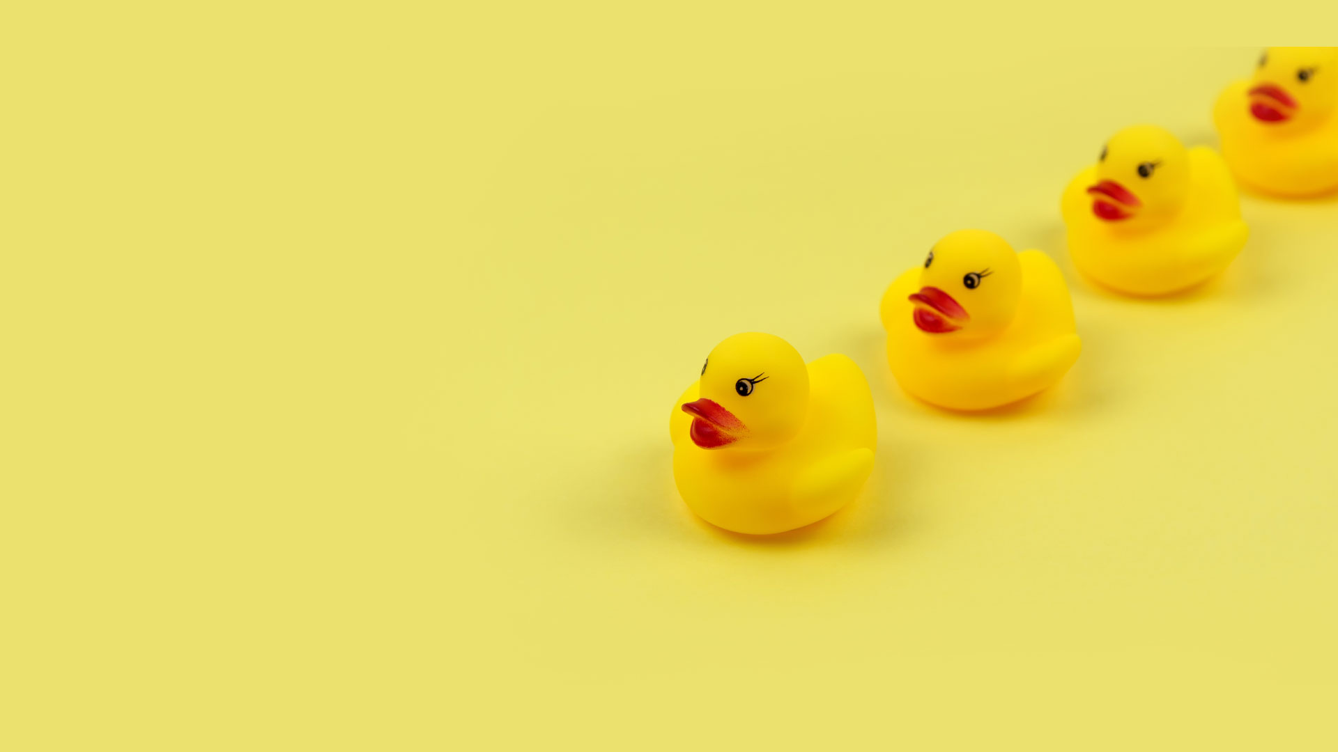 yellow rubber duckys in a row on a yellow background for managing client expectations