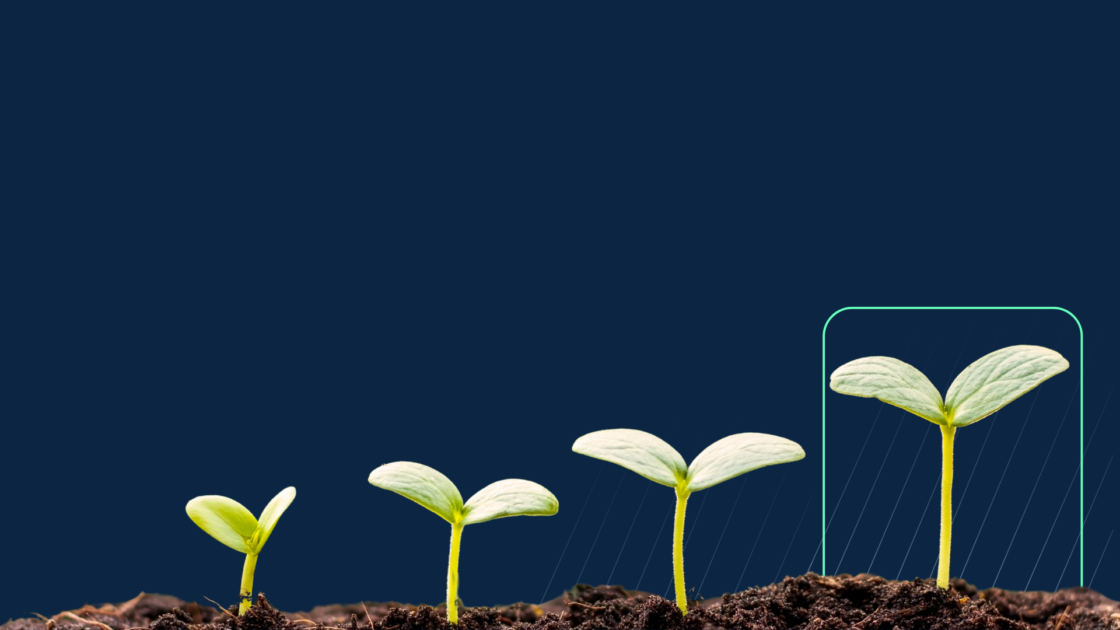 Seedlings growing at different stages in soil, illustrating GTM maturity as a progression and the evolving benchmark for revenue team growth and development.